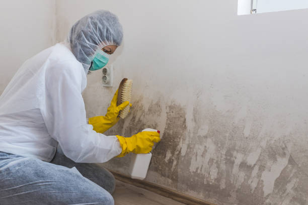 Best Air Quality Testing for Mold Spores  in Ravenel, SC