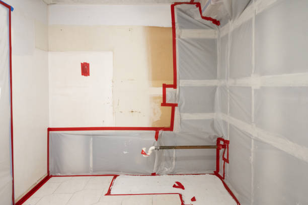 Best Mold Prevention Services  in Ravenel, SC