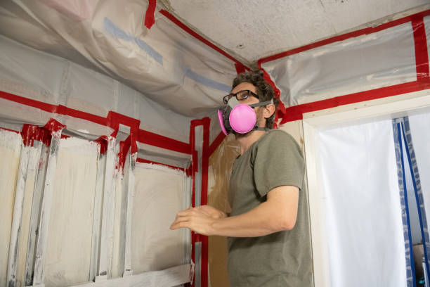 Best Air Quality Testing for Mold Spores  in Ravenel, SC
