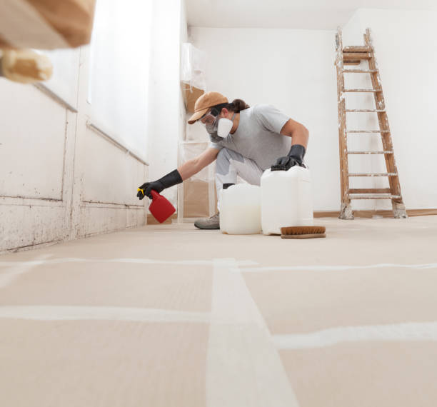 Best Commercial Mold Inspection  in Ravenel, SC